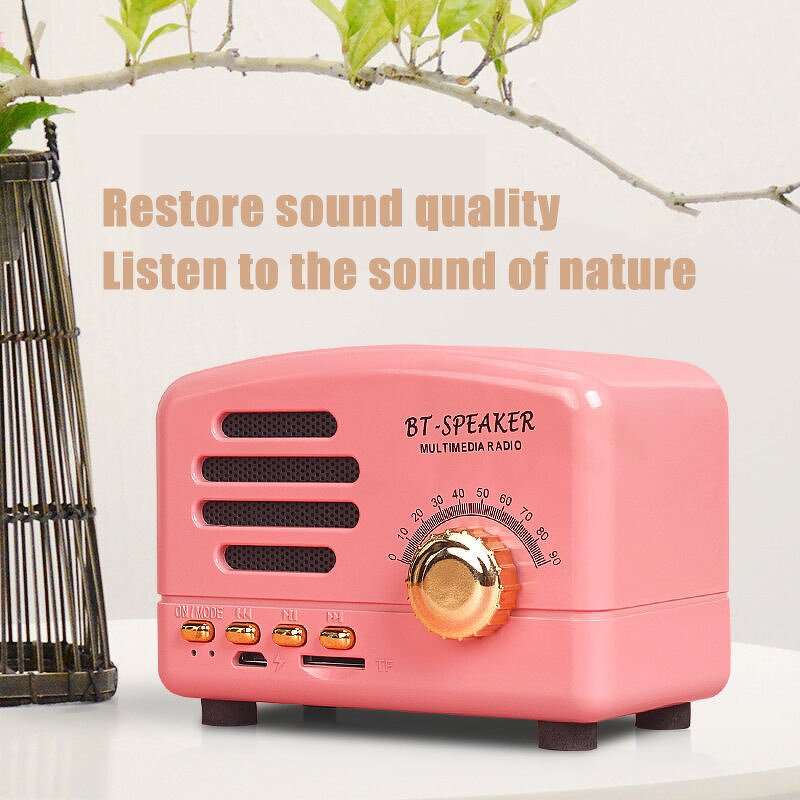 Wireless Speaker Manufacturer - Mini Retro Style with FM Function BT Built-in Battery