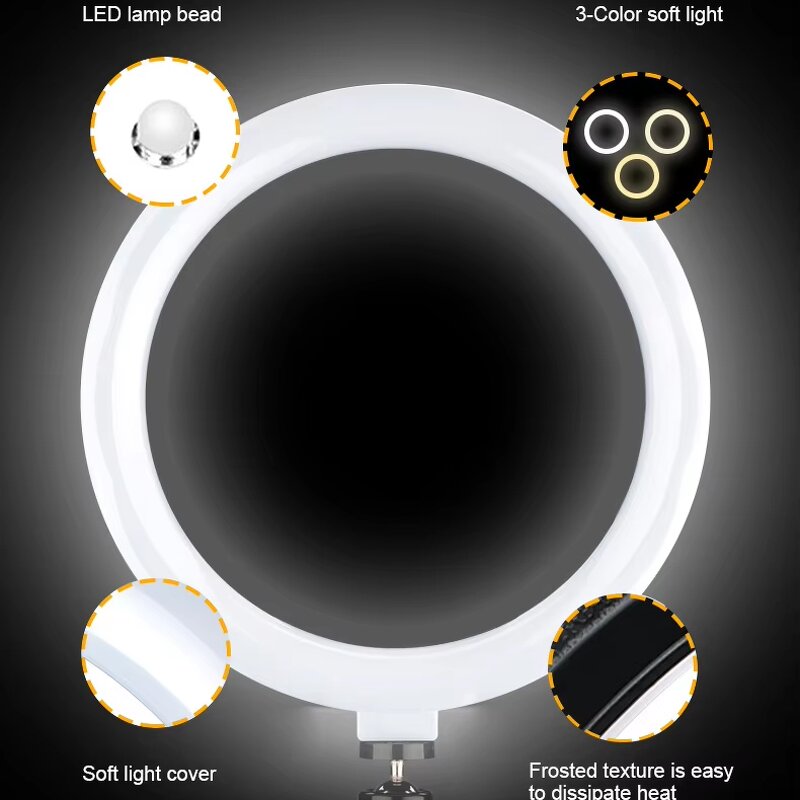Ring Light Manufacturer - 10 Inch LED Selfie Warm Cold Light for Makeup
