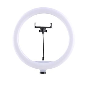 Ring Light Manufacturer - 10 Inch Live LED Selfie Small Fill Beauty Cheap Price