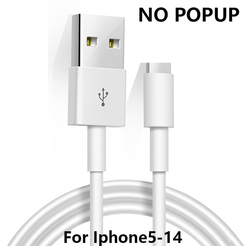 Charging Cable Manufacturer - USB for iPhone 5V1A/2.4A 1m/1.5m/2m Type C to L