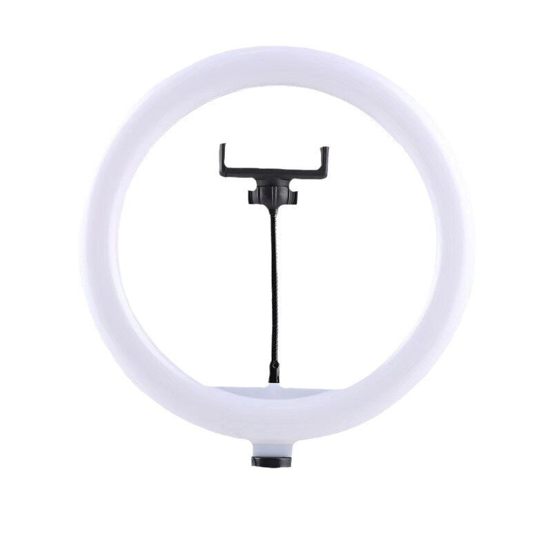 Ring Light Manufacturer - Professional 10 Inch LED Makeup Selfie with Light Control Remote