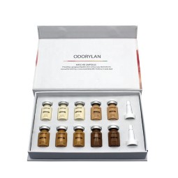 Semi Permanent Makeup Supplier - OEM 5 Color Whitening BB Cream Beauty Salon