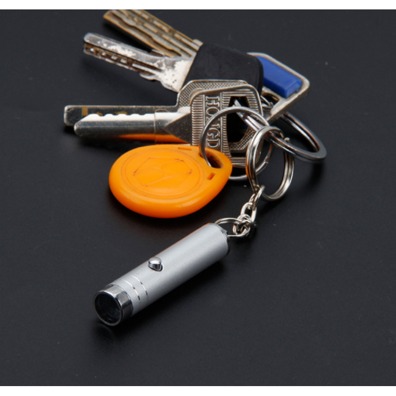 Flashlight Manufacturer - UV LED Mini Keychain ID Currency Detector