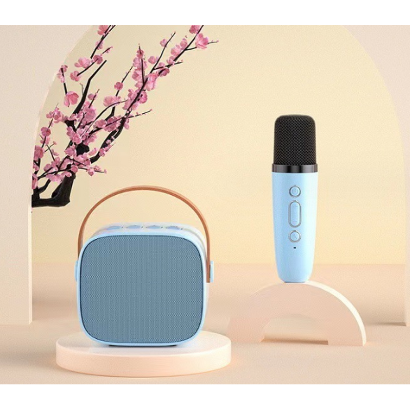 Karaoke Speaker Manufacturer - Professional 3W RGB Color Light with Wireless Microphones for Outdoor