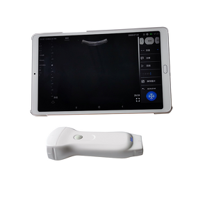 Vascular Ultrasound Scanner - Manufacturer - Wireless Dual Head Siterite Handheld