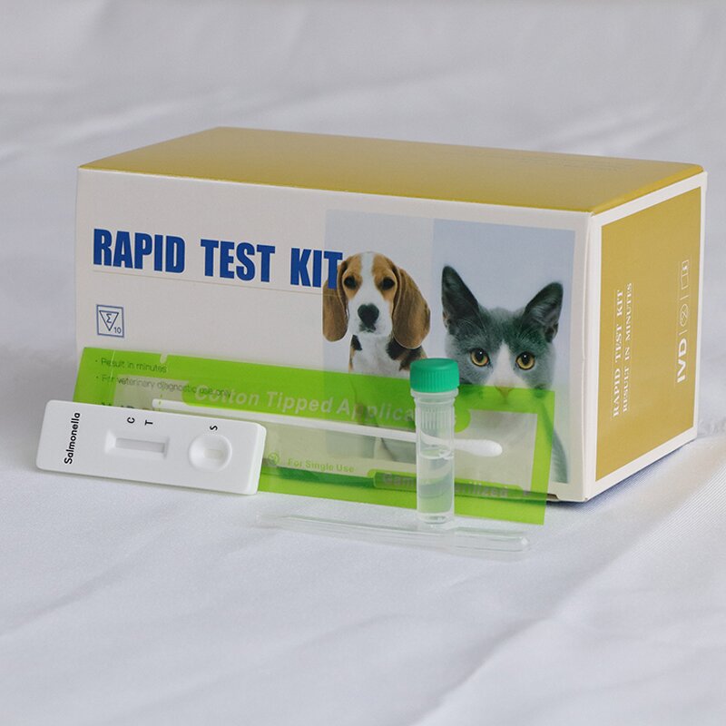 EDTA Blood Tube - Manufacturer - Low MOQ Medical Blood Collection Tube