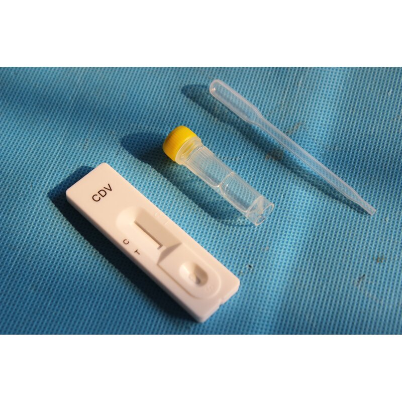 Blood Collecting Needle - Manufacturer - Disposable Hospital Vein Safety Lancet