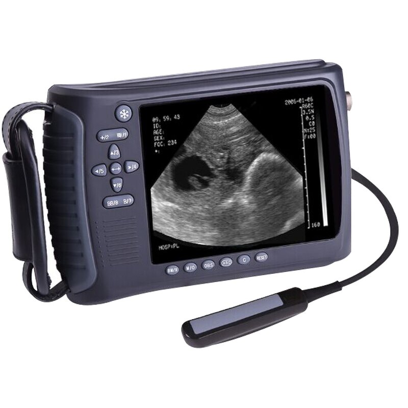 Veterinary Ultrasound - Manufacturer - Handhold Sheep Dogs Cats Portable Machine