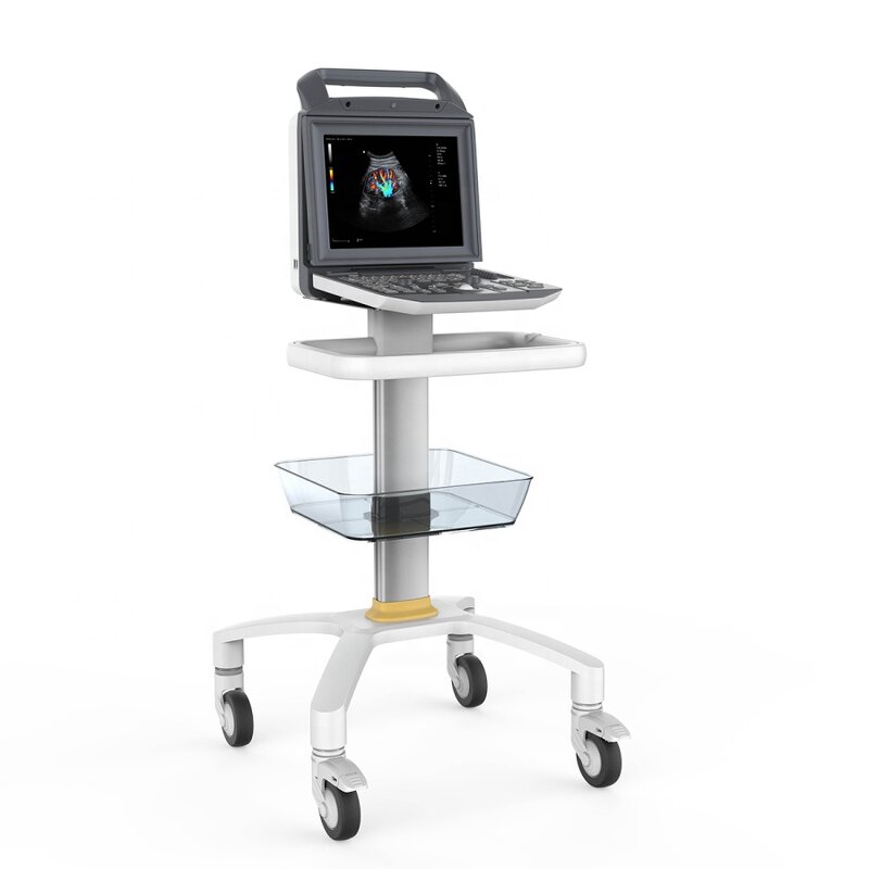 Veterinary Ultrasound Machine - Manufacturer - MSLCU45 Laptop Color Doppler Human/Vet