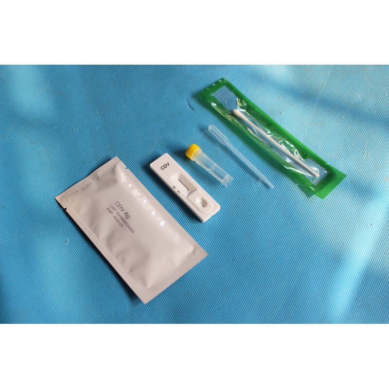 Blood Collecting Needle - Manufacturer - Disposable Hospital Vein Safety Lancet