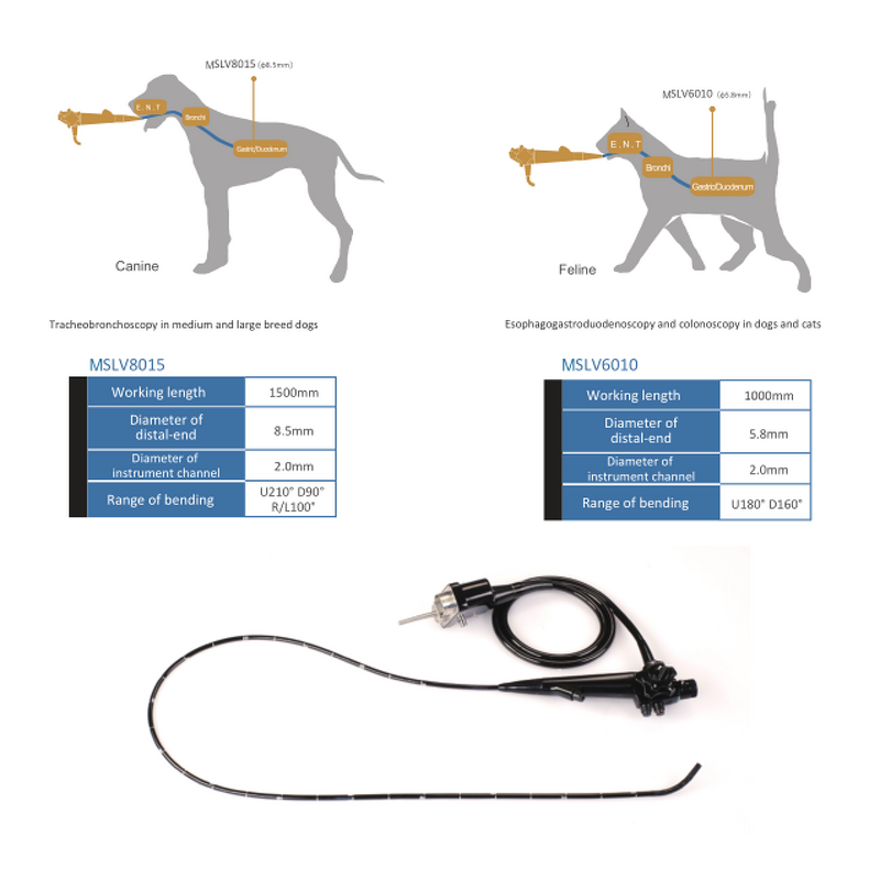 OAE Detector - Manufacturer - MSLHS01 Touch Screen Otoacoustic Emission
