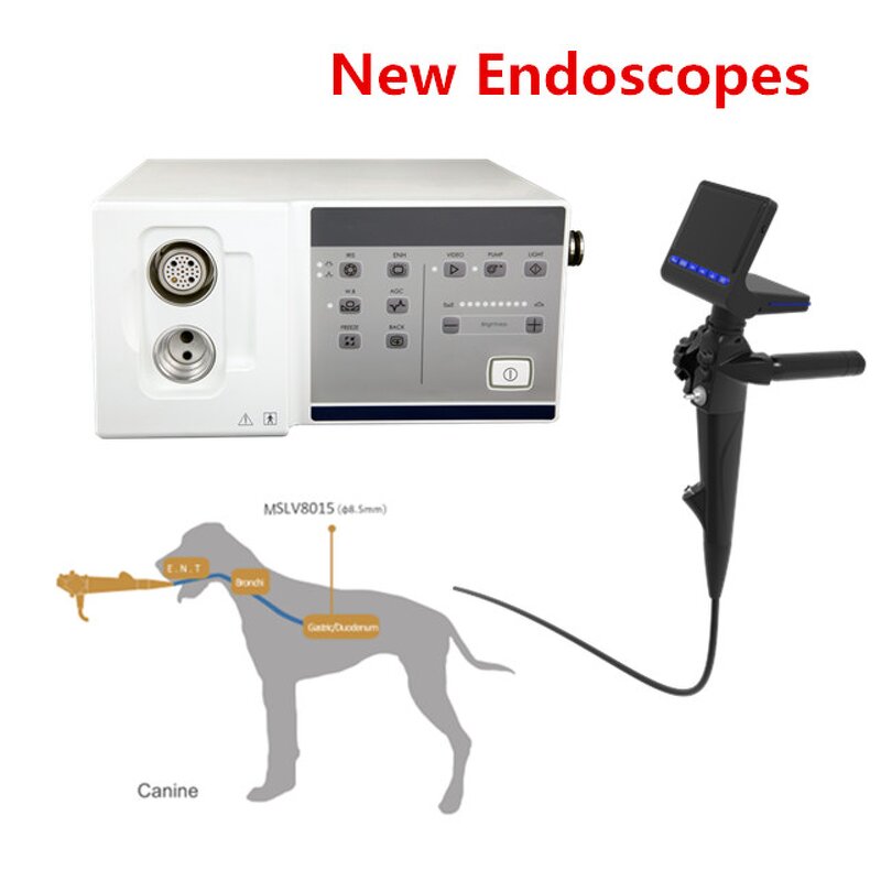 OAE Detector - Manufacturer - MSLHS01 Touch Screen Otoacoustic Emission
