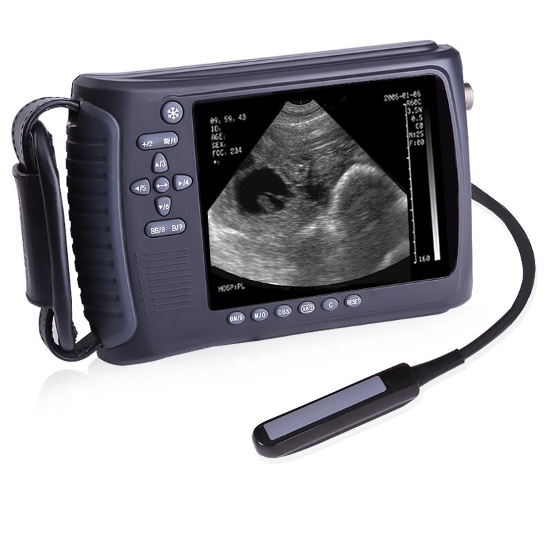 Veterinary Ultrasound - Manufacturer - Handhold Sheep Dogs Cats Portable Machine