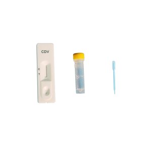 Blood Collecting Needle - Manufacturer - Disposable Hospital Vein Safety Lancet