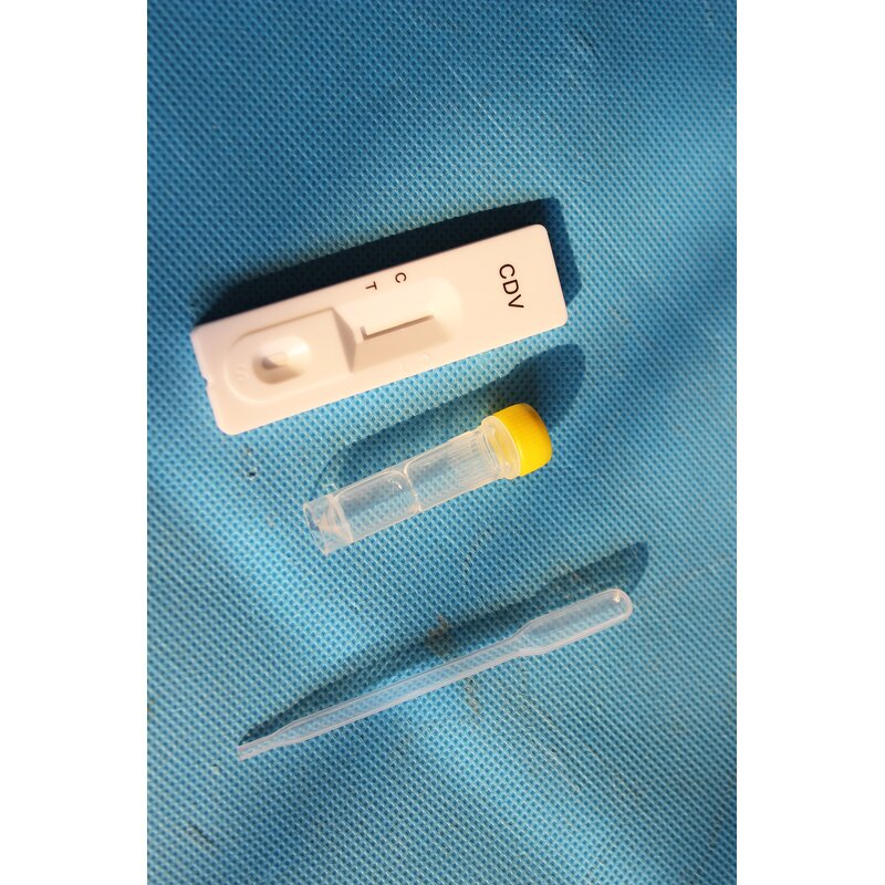 Blood Collecting Needle - Manufacturer - Disposable Hospital Vein Safety Lancet