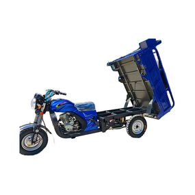 Truck Manufacturer - Gasoline Three-Wheeler Fuel for Freight Transportation