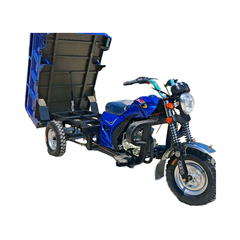 Cargo Tricycle Manufacturer - Gasoline Big Capacity & Hot Sale