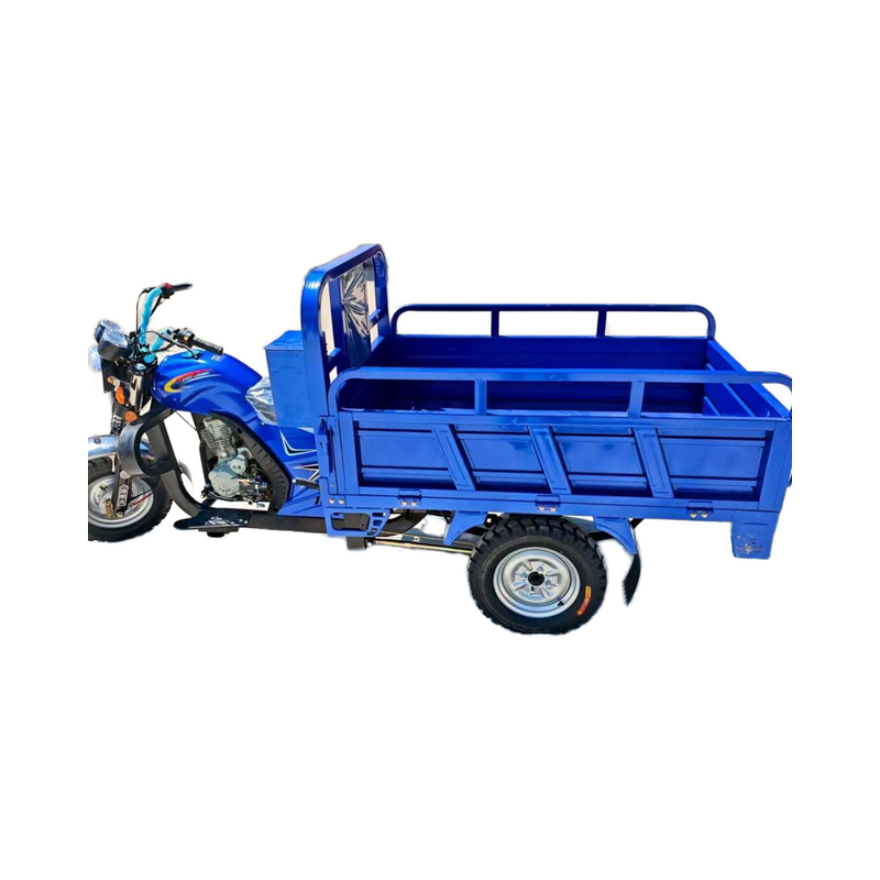 Tricycle Manufacturer - Adult Three-Wheel Gasoline Sport Motorized