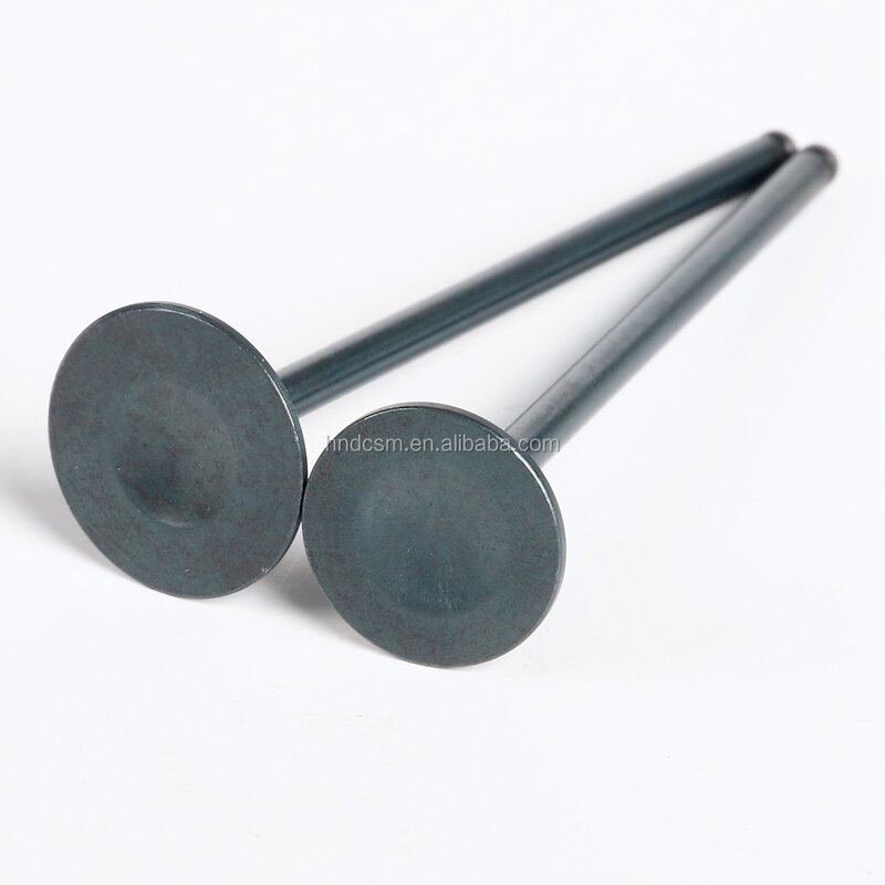 Motorcycle Valve Manufacturer - 250CC for Honda CBR250 CBR17 CBR19 CBR22 JADE