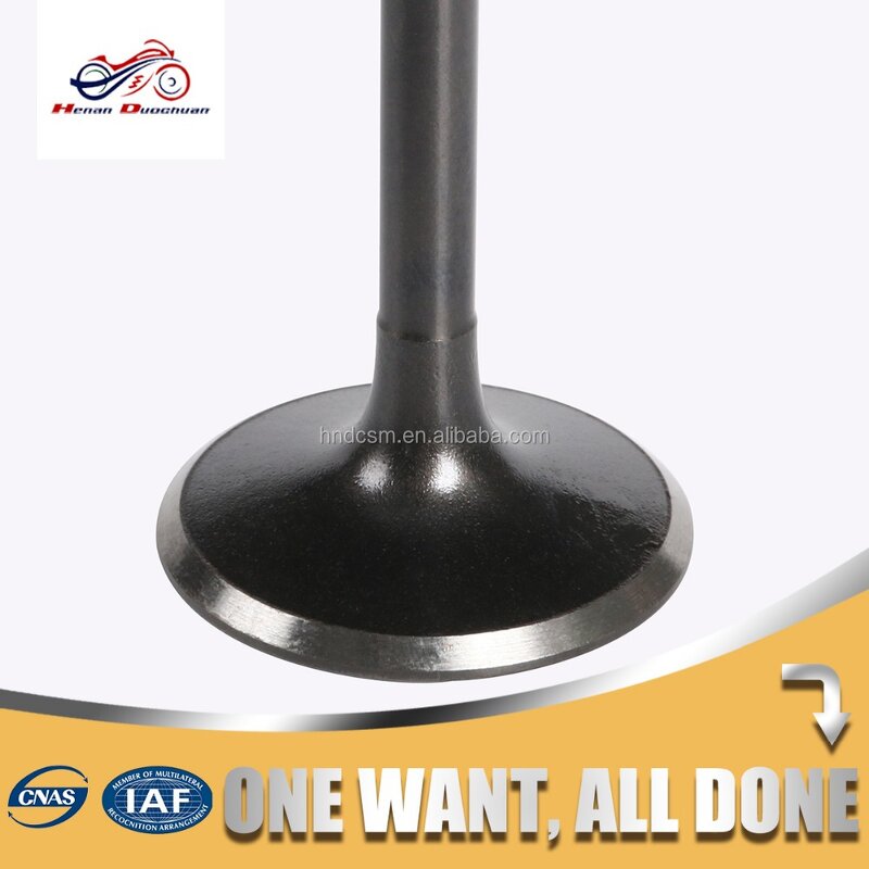 Motorcycle Valve Manufacturer - 225cc XT225 DIA6MM Intake Exhaust Valve for Yamaha