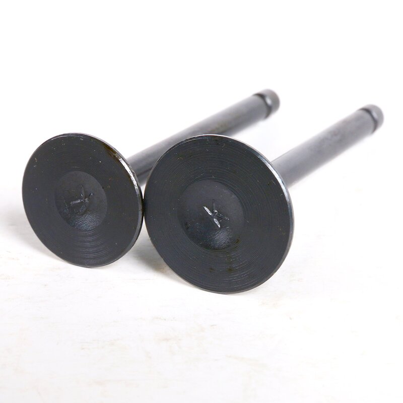 Motorcycle Valve Manufacturer - 250CC XV250 Cheaper Price Engine Valve for Yamaha