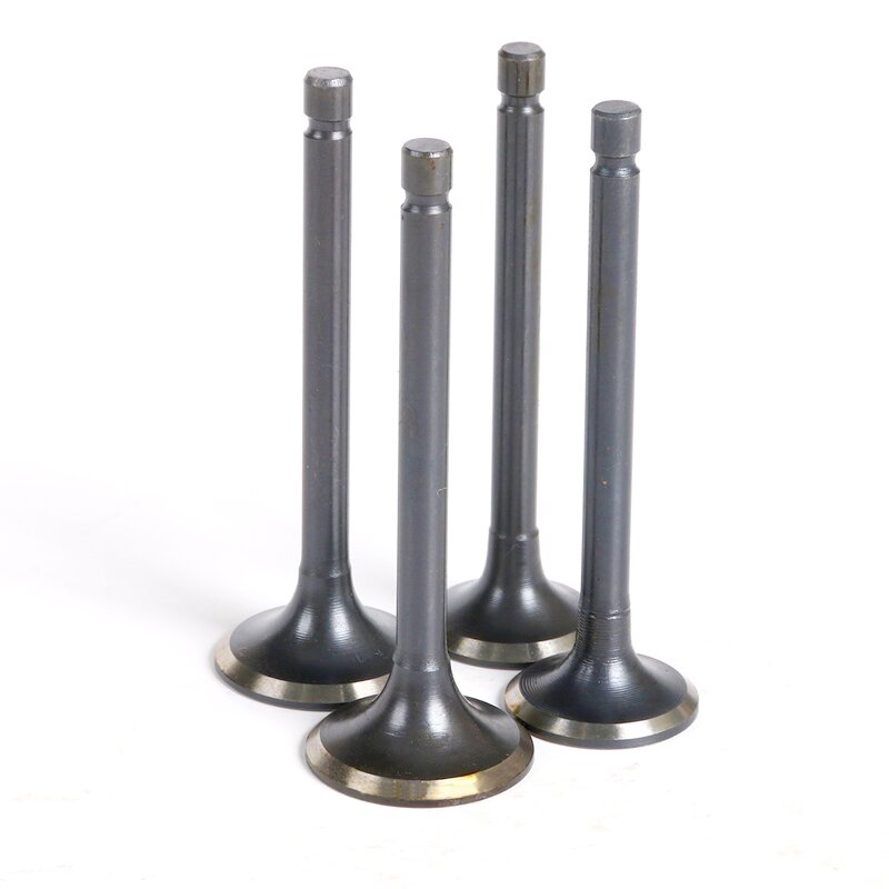 Motorcycle Valve Manufacturer - 250CC XV250 Cheaper Price Engine Valve for Yamaha