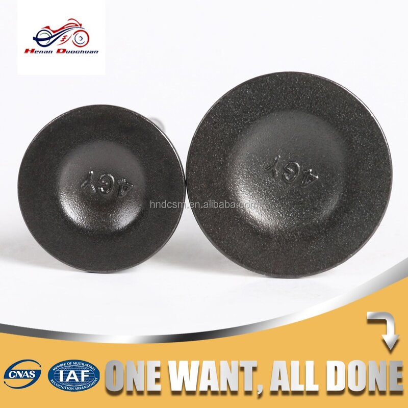 Motorcycle Valve Manufacturer - 250CC Intake Exhaust Valve for Yamaha TTR250