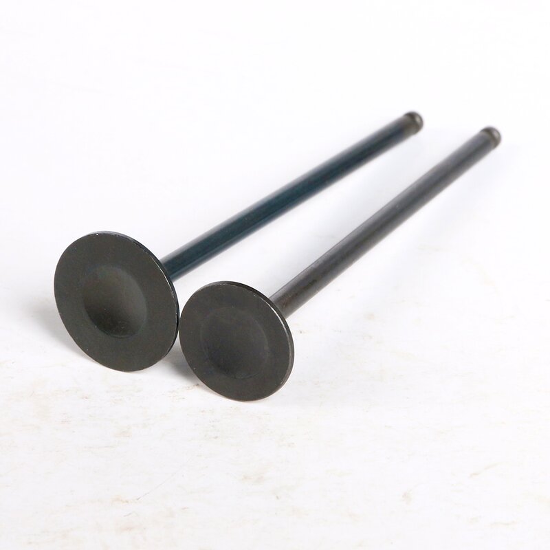 Motorcycle Valve Manufacturer - 250CC FZR250RR Exhaust Valve for Yamaha 3LN