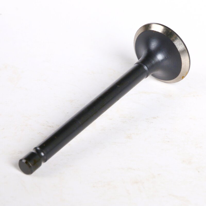 Motorcycle Valve Manufacturer - 250CC XV250 Cheaper Price Engine Valve for Yamaha