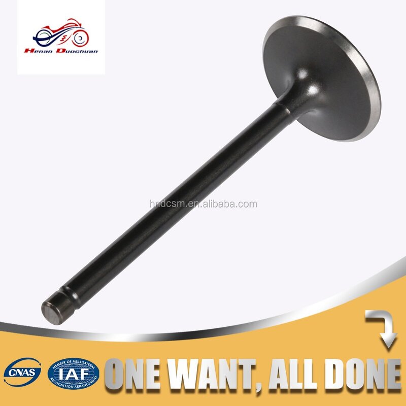 Motorcycle Valve Manufacturer - 225cc XT225 DIA6MM Intake Exhaust Valve for Yamaha