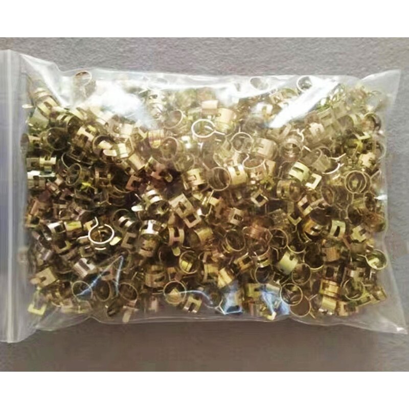 Spring Band Clamp Manufacturer - Customized and Wholesale Galvanized