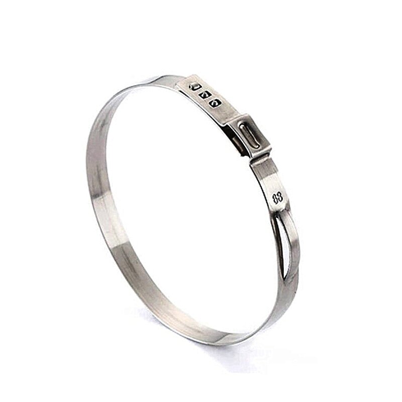 Hose Clamp Manufacturer - High Quality Stainless Steel Single Ear Custom Sizes Wholesale Price