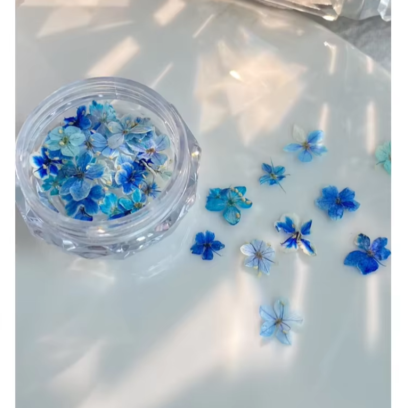 Nail Art Materials Manufacturer - OEM Floral Patterns Dried Floral Embroidery