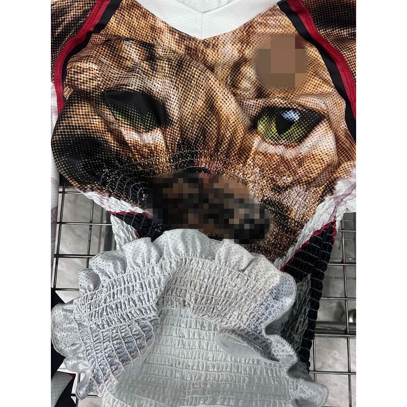 Women's T-shirt Manufacturer - 2025 Summer Long Sleeve Animal Print Usa Boutique