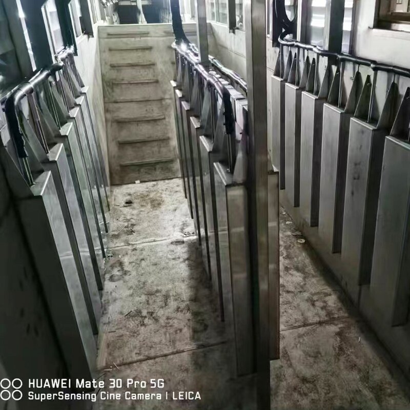 Ultrasonic Transducer Manufacturer - 40khz 1200w Immersible Piezoelectric Vibration Sensor Pack with Generator