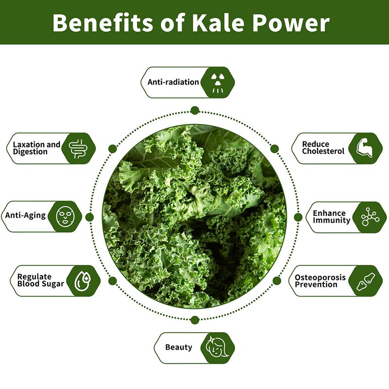 Kale Powder Manufacturer - Natural Pure Kale Digestive Enzymes Weight Loss Supplement