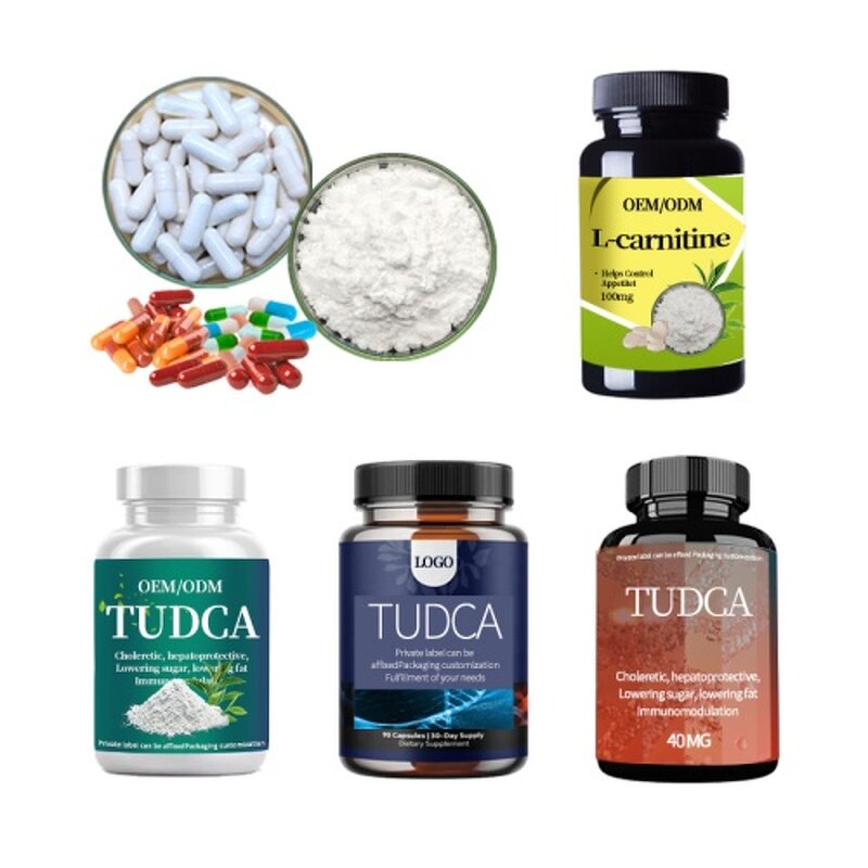 Bacillus Coagulans Powder Manufacturer - High Viable Count 20B CFU/g Digestive Health Supplement