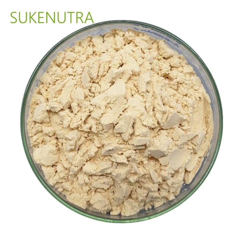 Lentil Protein Manufacturer - High Quality Lentil Protein