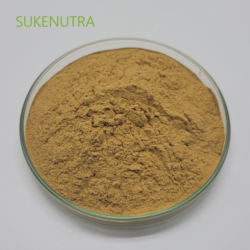 Shiitake Mushroom Extract Manufacturer - Hot Sale Lentinan 30% Extract Powder