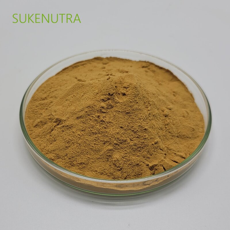 Agaricus Blazei Murill Extract Manufacturer - Top Grade 30% Polysaccharide Extract Powder