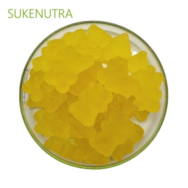 Lion's Mane Mushroom Gummies Manufacturer - 60 Count Nootropic for Memory Focus Nerve Health