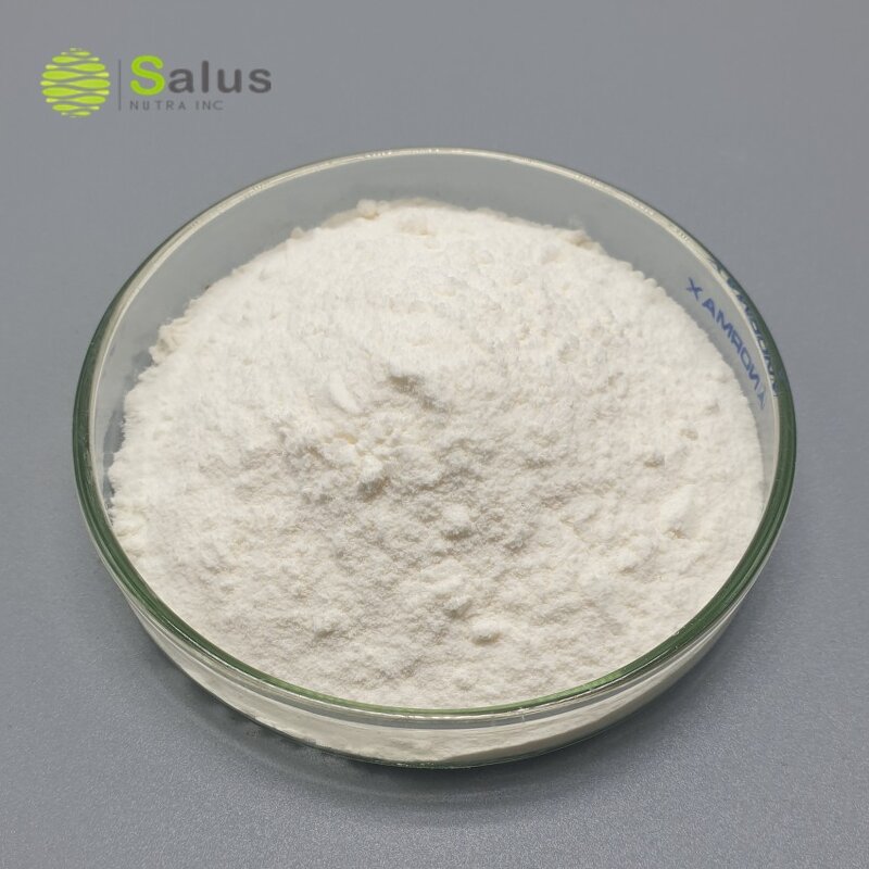 Papain Manufacturer - Factory Direct Sale 100000U/g Papain Enzyme