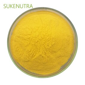 Mango Powder Manufacturer - 100% Natural No Additives Sugar Free Supplement Powder