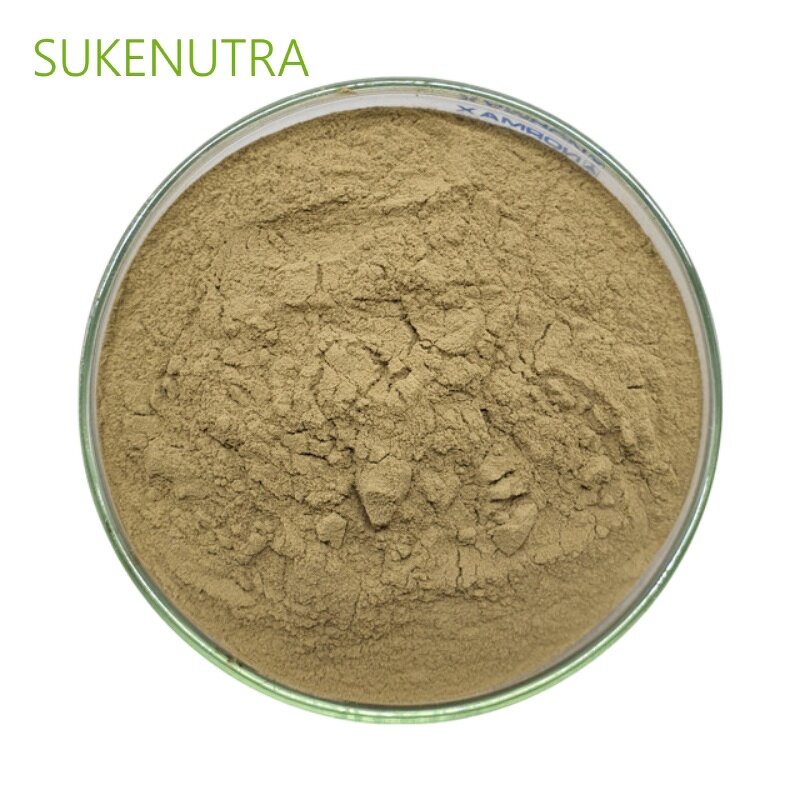 Green Lipped Mussel Powder Manufacturer - Factory Wholesale Lyophilized Green Lipped Mussel Powder