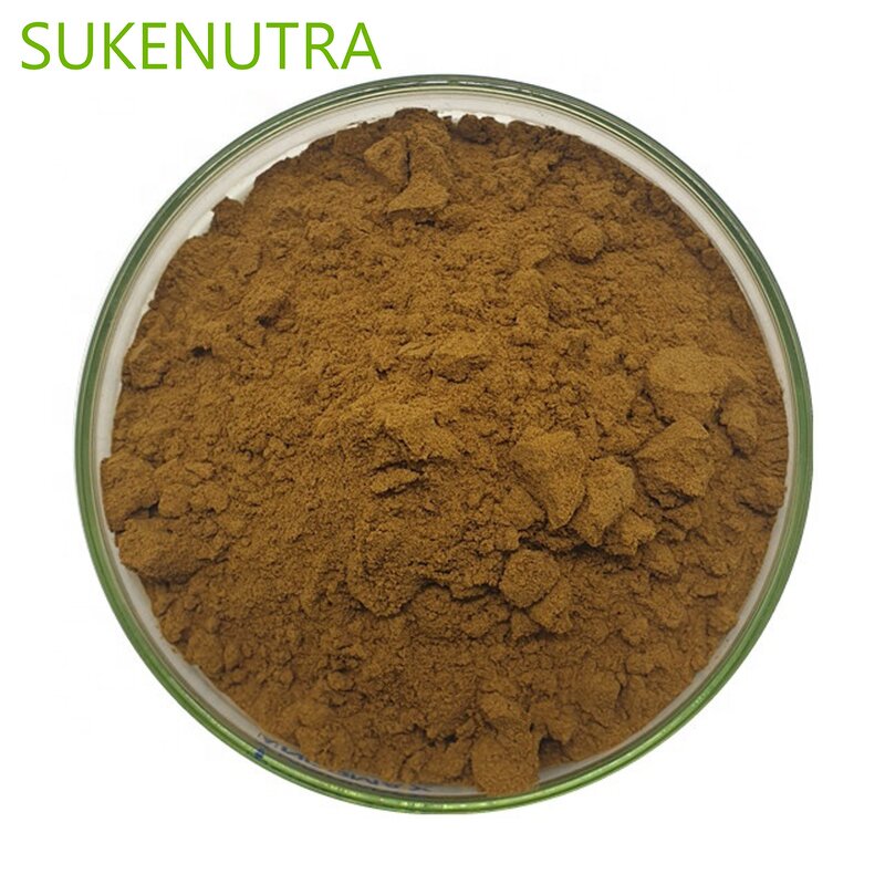 Cistanche Deserticola Extract Powder Manufacturer - 10% 98% Verbascoside Echinacoside HPLC