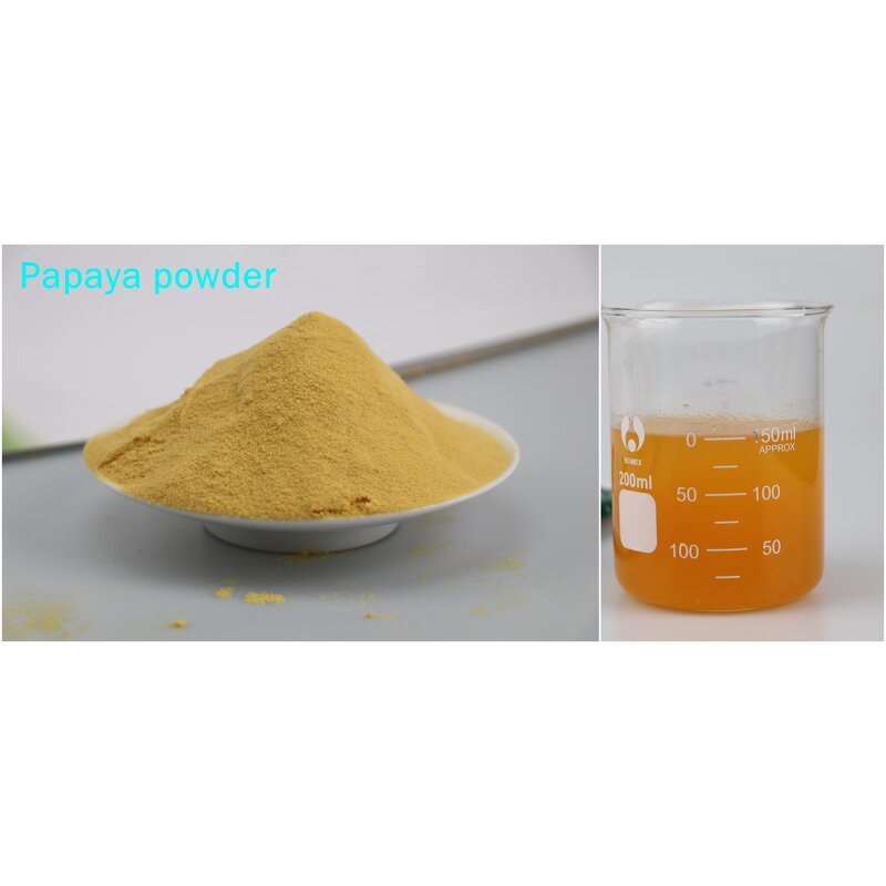 Papaya Powder Manufacturer - Premium Natural Papaya Powder Digestion Skin Care Food Grade