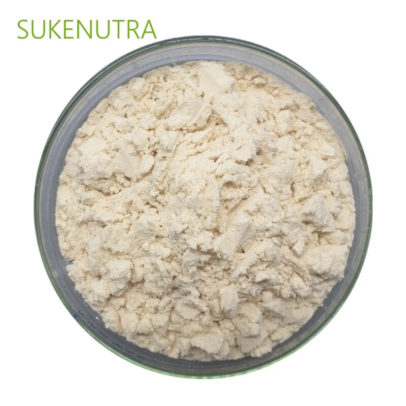 Chickpea Protein Isolate Manufacturer - High Quality Chickpea Protein Isolate