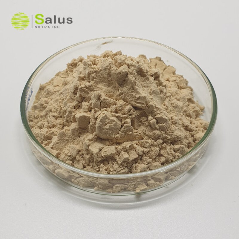 Mushroom Beta Glucan Manufacturer - Factory Wholesale 30% 50% Mushroom Beta Glucan