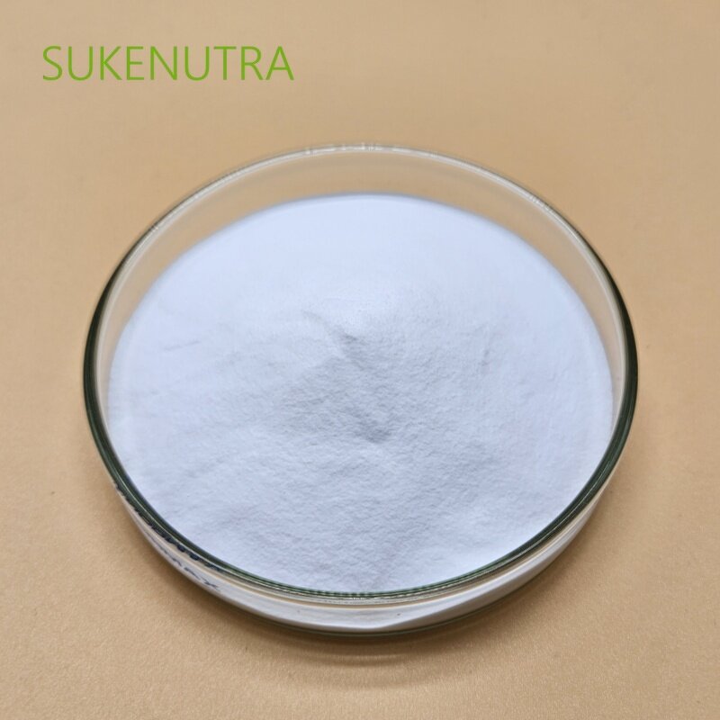 L-Arginine Powder Manufacturer - 99% USP Grade Sports Nutrition Dietary Supplement