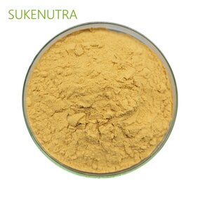 Tremella Fuciformis Extract Manufacturer - Natural 30% Polysaccharide Extract Powder
